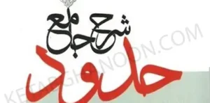 شرح جامع حدود سمیع پور