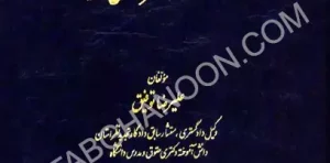 حقوق شهر و شهرسازی نظام حقوقی حاکم بر هیئت حل اختلاف  (ماده 38 شهرداری ها) علیرضا توفیق