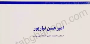حقوق کیفری کودکان و نوجوانان امیر حسن نیازپور