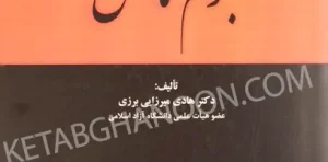 تاملی بر جرم ناقص هادی میرزایی برزی